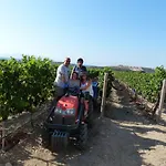 Vineyard - Over 14 Years Old Only Bed and Breakfast