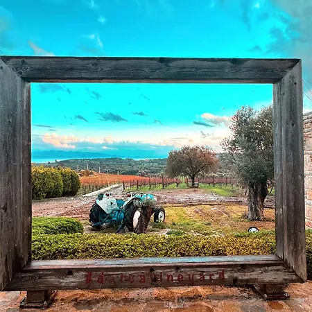 Oda ve Kahvaltı Vineyard - Over 14 Years Old Only Datça