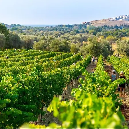 Vineyard - Over 14 Years Old Only לינה וארוחת בוקר 4*