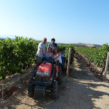 Vineyard - Over 14 Years Old Only Oda ve Kahvaltı