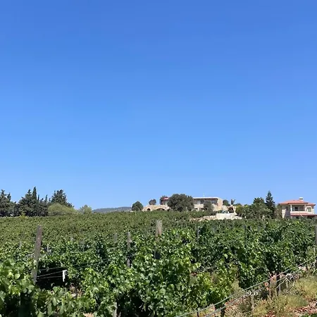 Vineyard - Over 14 Years Old Only Nocleg ze śniadaniem 2*