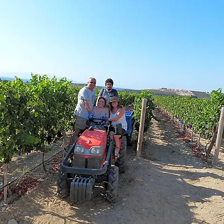 Bed & Breakfast Vineyard - Over 14 Years Old Only Datça