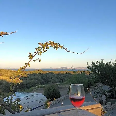 Vineyard - Over 14 Years Old Only 4*