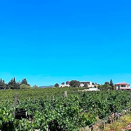 Vineyard - Over 14 Years Old Only Bed & Breakfast 4*