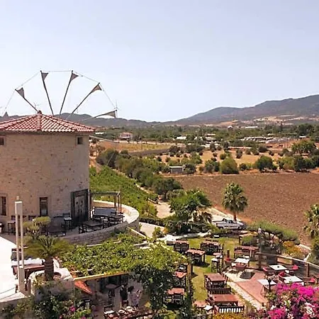 Bed & Breakfast Vineyard - Over 14 Years Old Only 4*