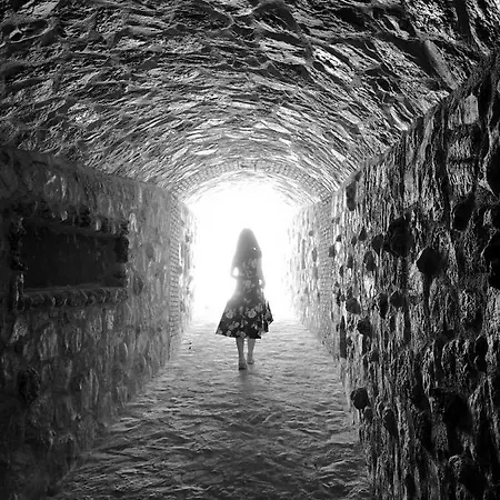 Vineyard - Over 14 Years Old Only 4* ダッチャ