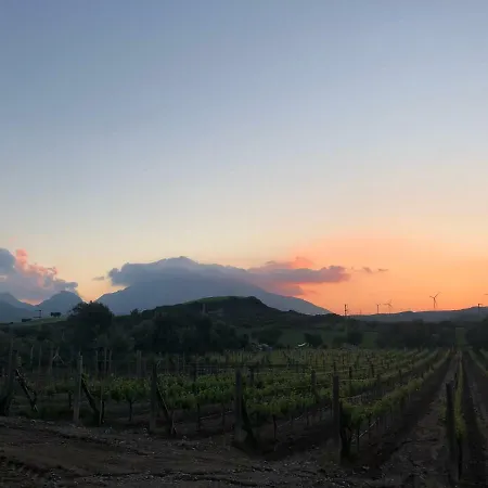 ベッド・アンド・ブレックファスト Vineyard - Over 14 Years Old Only