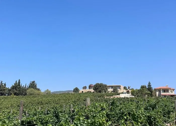 Vineyard - Over 14 Years Old Only Bed and Breakfast 4*