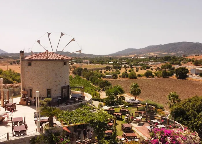 فندق مبيت وإفطار Vineyard - Over 14 Years Old Only