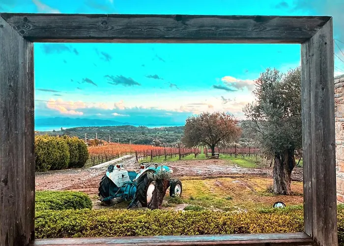 فندق مبيت وإفطار Vineyard - Over 14 Years Old Only داتْشا