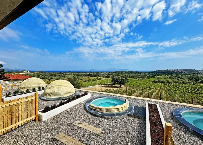 Vineyard - Over 14 Years Old Only Datca