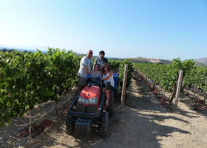 Vineyard - Over 14 Years Old Only فندق مبيت وإفطار