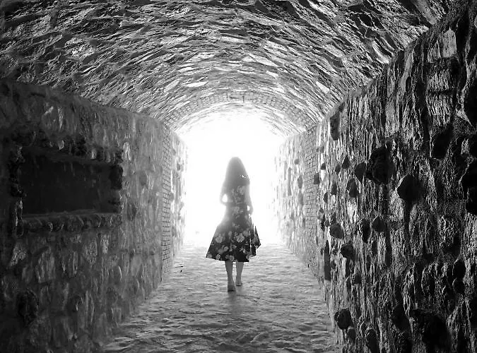 Vineyard - Over 14 Years Old Only 4* داتْشا