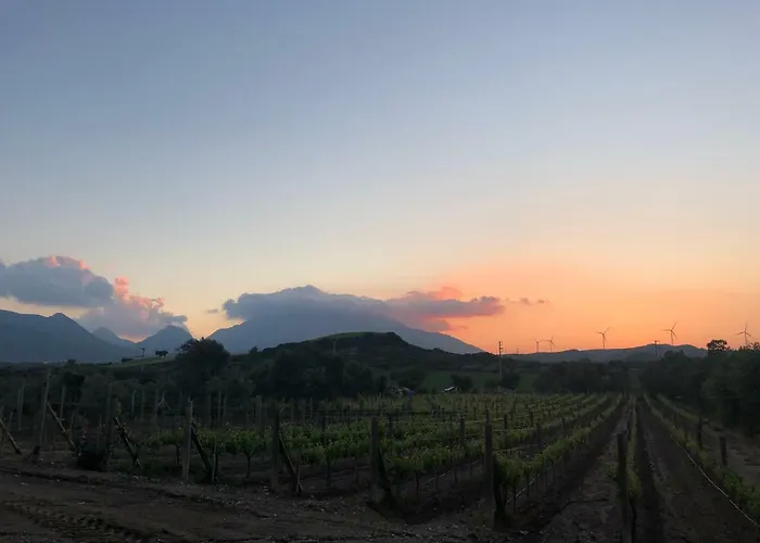 فندق مبيت وإفطار Vineyard - Over 14 Years Old Only