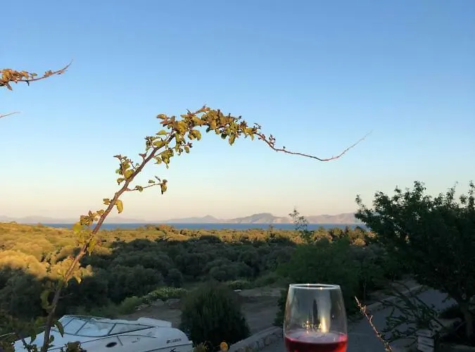 Vineyard - Over 14 Years Old Only Bed and Breakfast